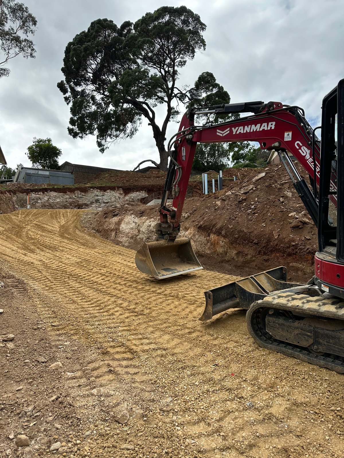 Red Yanmar excavator on dirt site with large tree and surrounding landscape in background