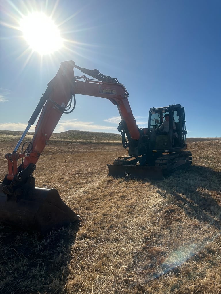 Red and black excavator with raised boom arm on dry grassland under bright sun and clear blue sky